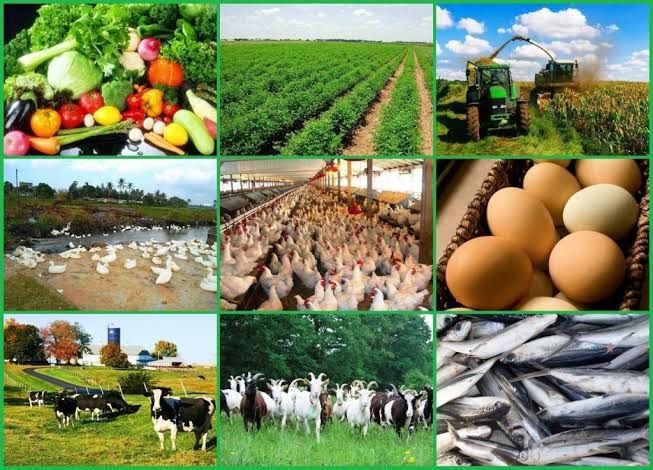 Agribusiness Development