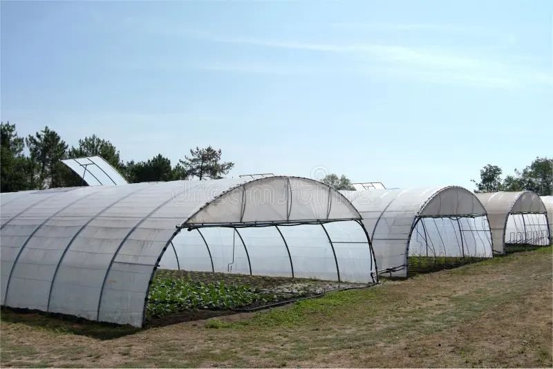 Greenhouses