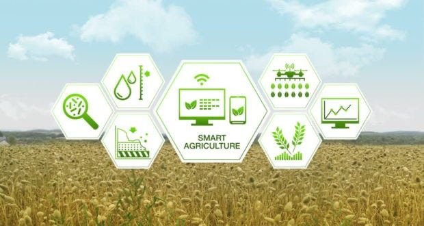 Smart Agriculture Solutions