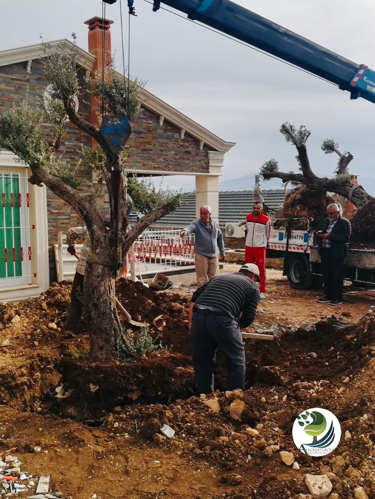 Landscaping & Green Spaces
