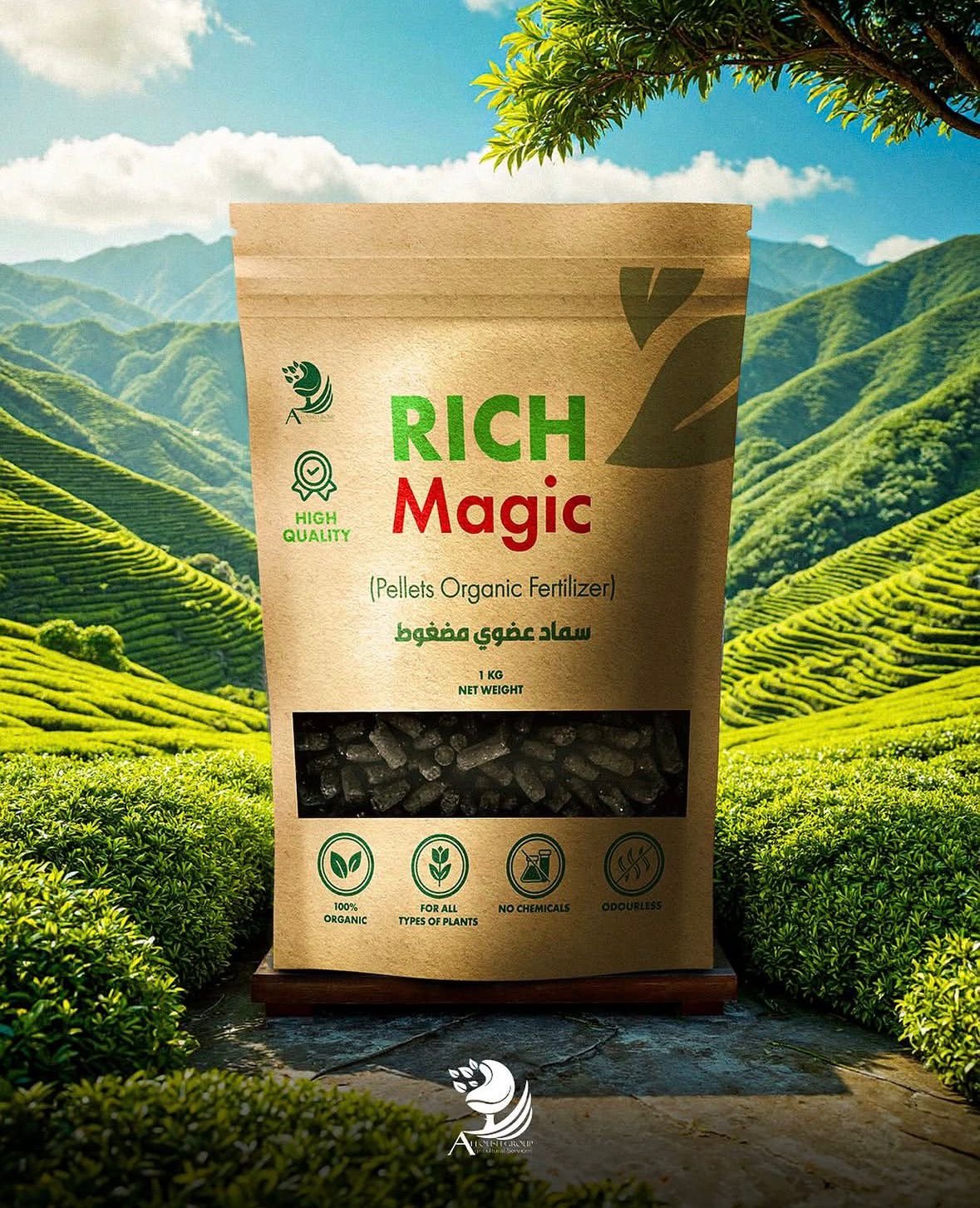 Rich Magic